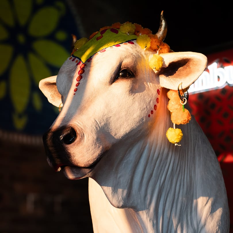 Decorated white cow statue with marigold garlands and red markings, illuminated by warm light.